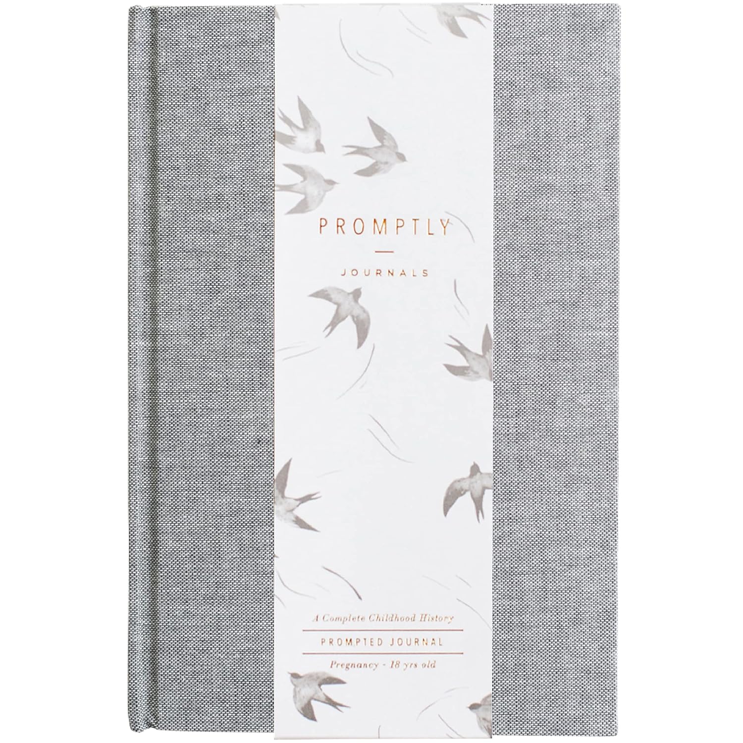 230816040407200_1 Promptly Journals, A Complete Childhood History Journal (Dusty Rose) - A Prompted Journal for Pregnancy through Age 18, Pregnancy Journal and Baby Book, Baby Memory Book - Image 1